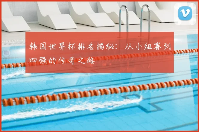 韩国世界杯排名揭秘：从小组赛到四强的传奇之路